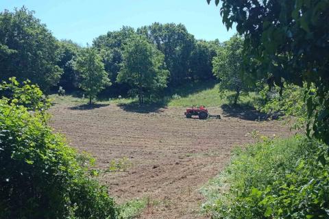 Istria, Barban - Building Land 1227 m2