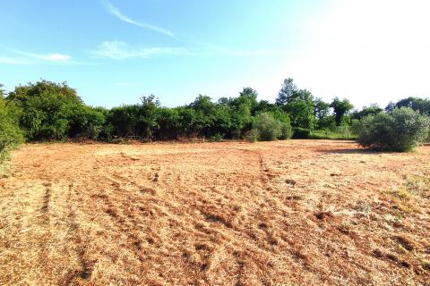 Istra,okolica Babića,poljoprivredna zemljišta