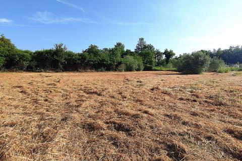 Istra,okolica Babića,poljoprivredna zemljišta