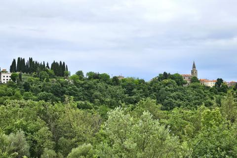Stavbno zemljišče Grožnjan, 2.696m2