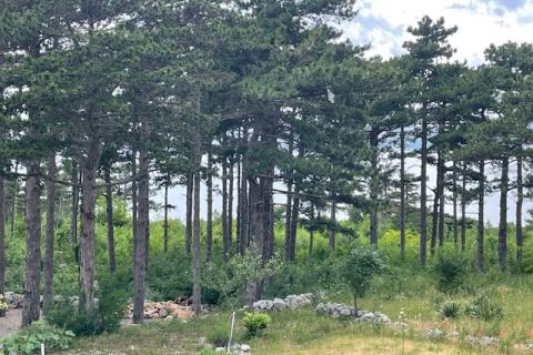 Wohnung Klenovica, Novi Vinodolski, 82m2