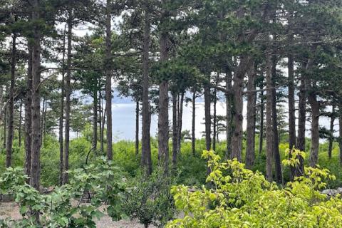 Wohnung Klenovica, Novi Vinodolski, 82m2