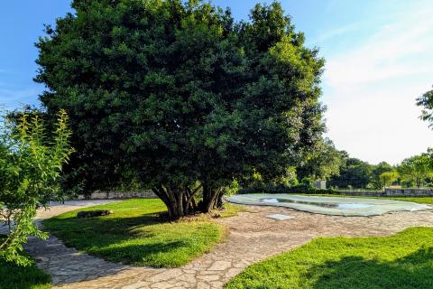 Istra - Kanfanar - kamena vila s bazenom i depandansom, mir i privatnost na osami