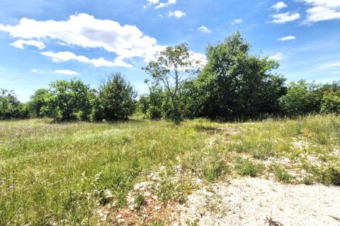 Istra, Rakalj- poljoprivredno zemljište 5296 m2