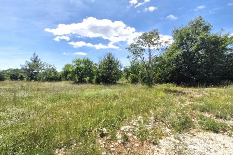 Istra, Rakalj- poljoprivredno zemljište 5296 m2