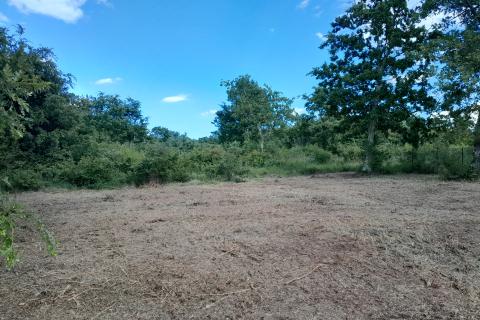 Istra,Cukrići,Građevinski teren na odličnoj lokaciji