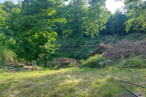 Klana - negrađevinsko zemljište, šuma