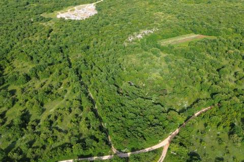 ISTRA, BALE - Poljoprivredno zemljište 8570 m2