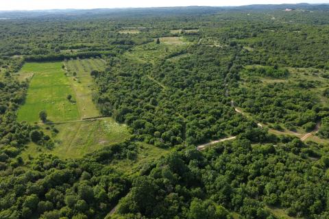  ISTRA, BALE - Povoljno poljoprivredno zemljište 