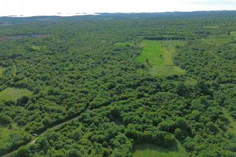  ISTRA, BALE - Povoljno poljoprivredno zemljište 