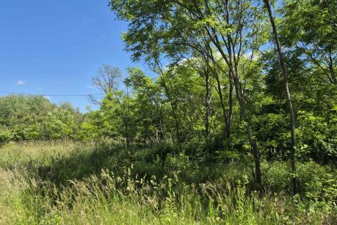 Stavbno zemljišče Šumber, Sveta Nedelja, 7.592m2