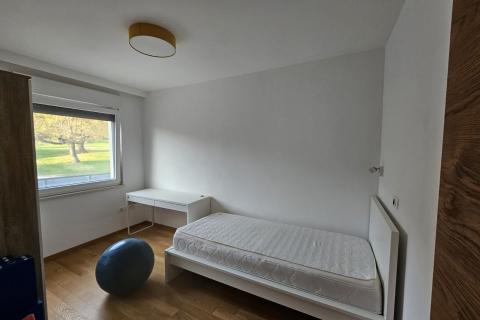 House okolica Pule, Pula, 250m2