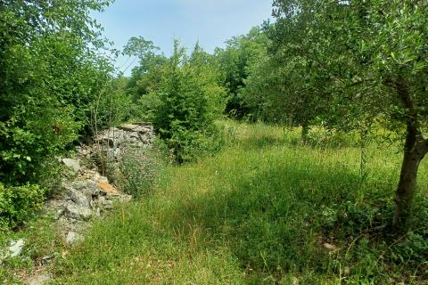 Terreno edificabile Mali Vareški, Marčana, 2.976m2