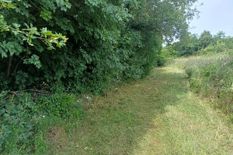 Terreno edificabile Mali Vareški, Marčana, 2.976m2