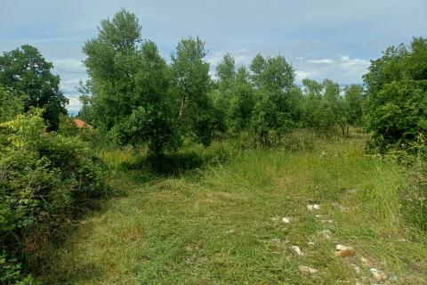 Terreno edificabile Mali Vareški, Marčana, 2.976m2