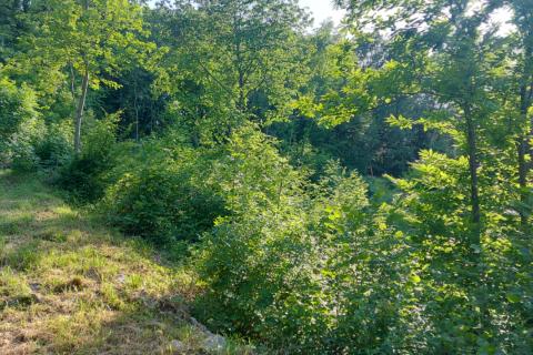 Klana - negrađevinsko zemljište, šuma