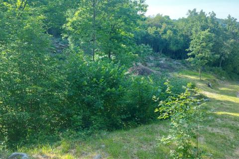 Klana - negrađevinsko zemljište, šuma