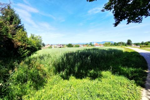 Jastrebarsko, Kupinec | Građevinsko zemljište 8227 m2