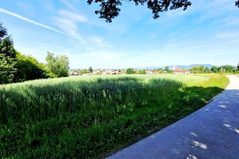 Jastrebarsko, Kupinec | Građevinsko zemljište 8227 m2