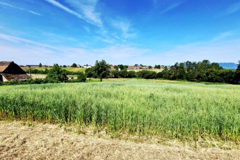 Jastrebarsko, Kupinec | Građevinsko zemljište 5665 m2