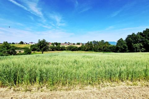 Jastrebarsko, Kupinec | Građevinsko zemljište 5665 m2