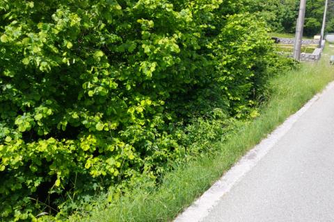 Klana - negrađevinsko zemljište