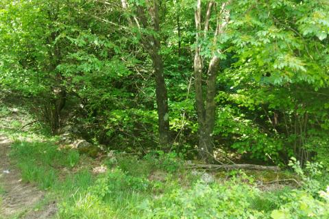 Klana - negrađevinsko zemljište