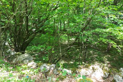 Klana - negrađevinsko zemljište