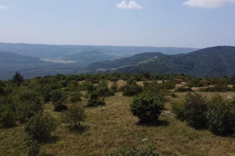 Земельный участок строительного назначения Zrenj, Oprtalj, 6.758m2