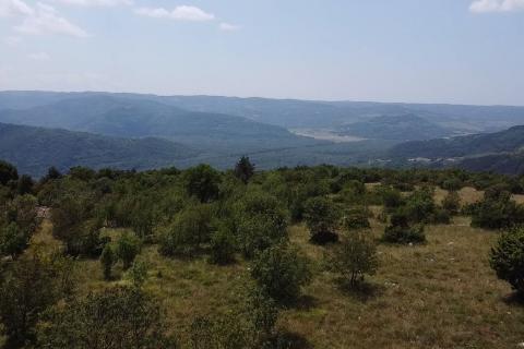 Земельный участок строительного назначения Zrenj, Oprtalj, 6.758m2