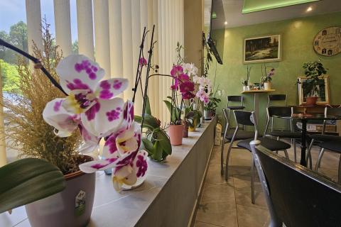 Office space Moravice, Vrbovsko, 84m2