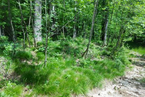 Klana - negrađevinsko zemljište