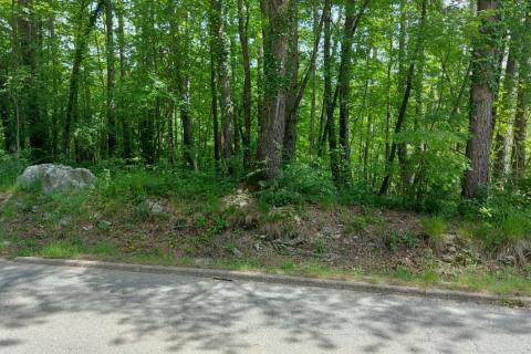 Klana - negrađevinsko zemljište