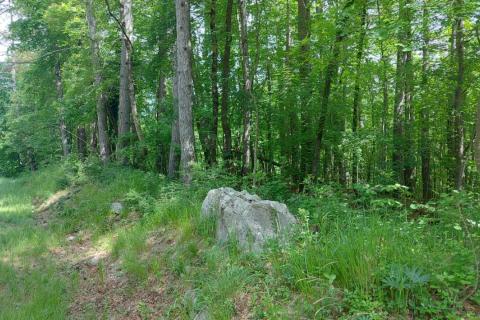 Klana - negrađevinsko zemljište