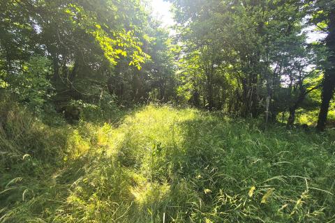 MATULJI,ŠAPJANE- negrađevinsko zemljište 381 m2