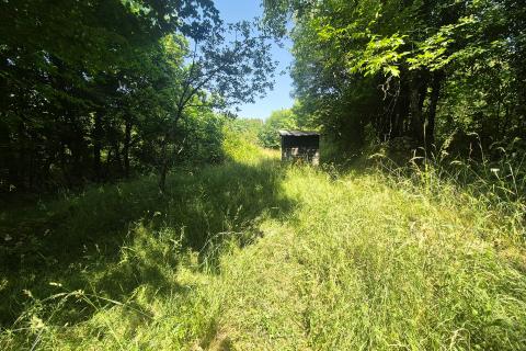 MATULJI,ŠAPJANE- negrađevinsko zemljište 381 m2