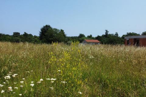 Istra, Svetvinčenat okolica - Građevinsko zemljište u Istri