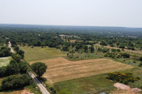 Istra, Svetvinčenat okolica - Građevinsko zemljište u Istri