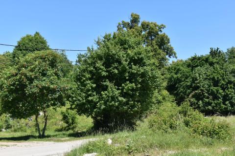 Bouwgrond Mučići, Matulji, 13.802m2