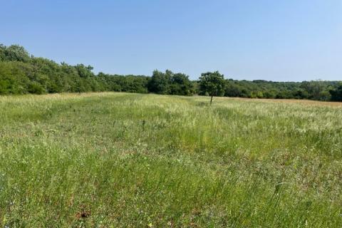 Istra,Loborika,zemljište na rubu urbanizacije