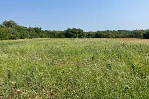Istra,Loborika,zemljište na rubu urbanizacije
