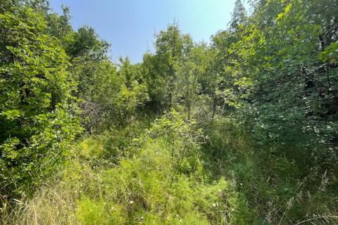 Bauland Vrbnik, 877m2