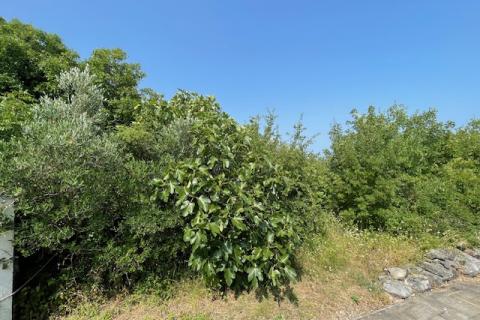 Bauland Vrbnik, 877m2