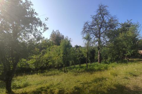 Casa Gornje Dubrave, Ogulin, 70m2