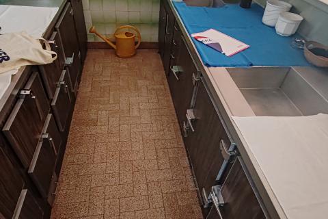 Rab, Supetarska Draga - kuća s restoranom, prvi red do mora