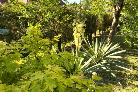 Popovača, Centar, Kuća sa dva stana