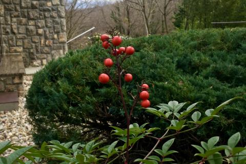 Rijeka, Grobnik - ladanjska kuća