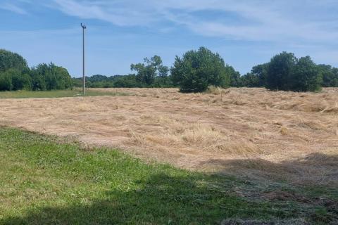 Istra, Kanfanar -okolica- veliko građevinsko zemljište