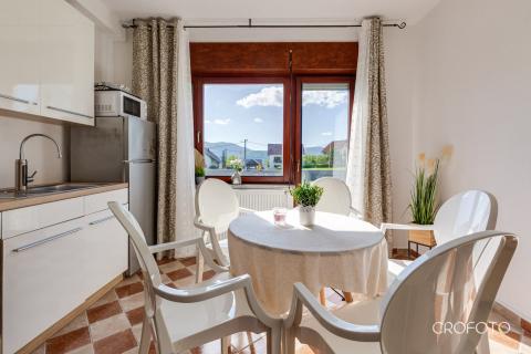 Haus Drežnik Grad, Rakovica, 400m2