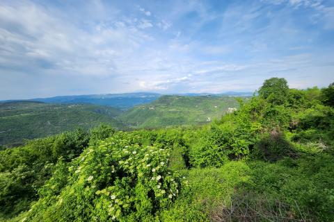 Istra, Buzet, Sovinak - ne građevinsko zemljište 25,70 ha